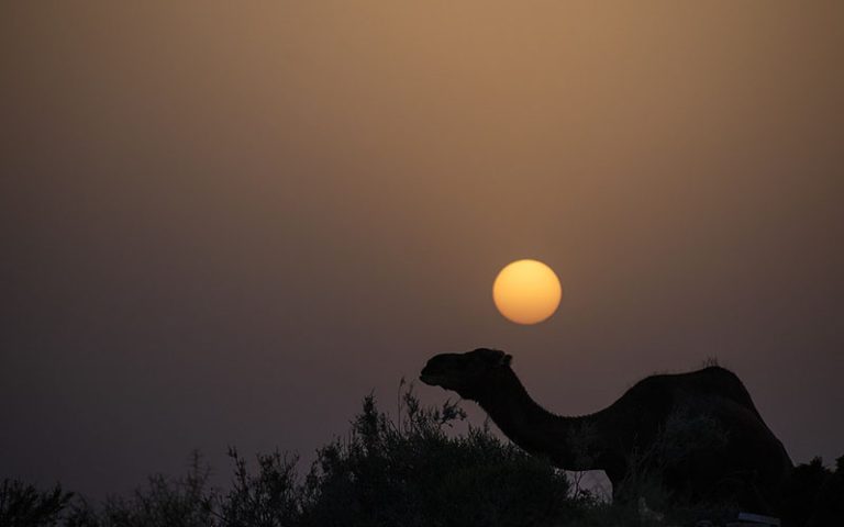 استان قم
