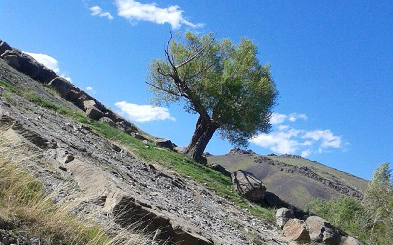 روستای آمره خلجستان قم (4)