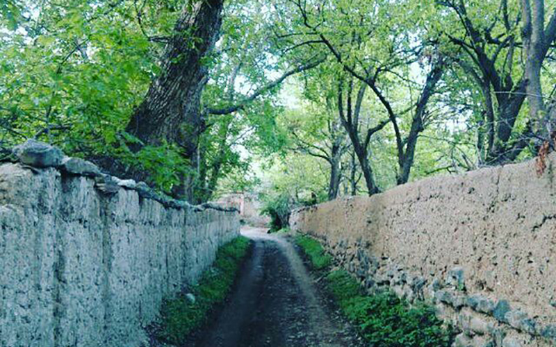 روستای بنابر قم (7)