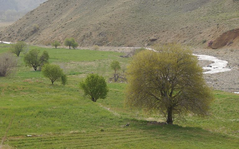 روستای نویس قم 1